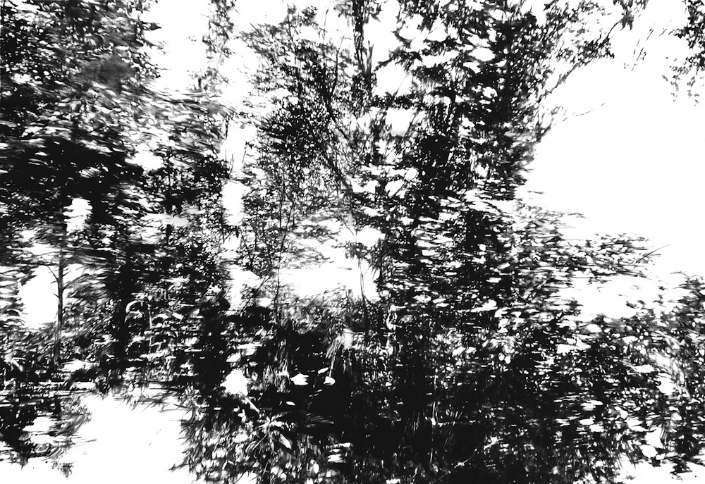 Metsä 1 (Forest) by Manami Ito