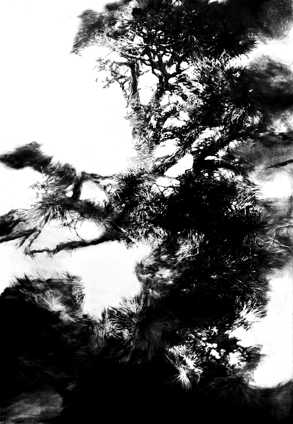 Pine 5 by Manami Ito